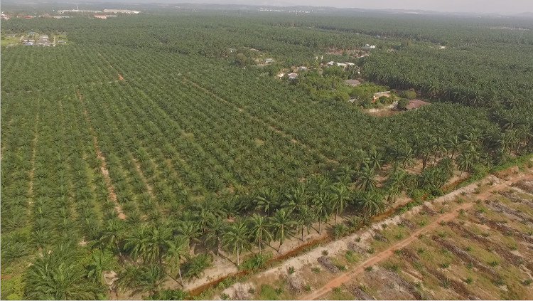 Máy bay không người lái Xaircraft.