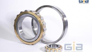 Vòng bi NF405W