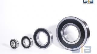 Vòng bi 6040