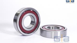 Vòng bi 7324B