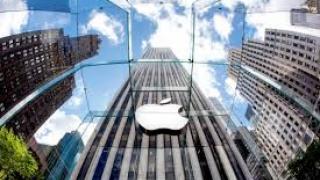 Cuốn tạp chí đặc biệt của Giám đốc thiết kế của Apple.